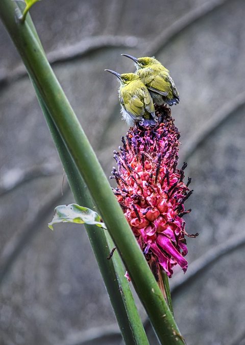 Inside the Life of a Jetsetter: A Closer Look at High-End Travel