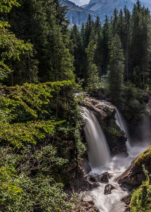 The Allure of Train Travel: Why More People are Opting for Railway Journeys